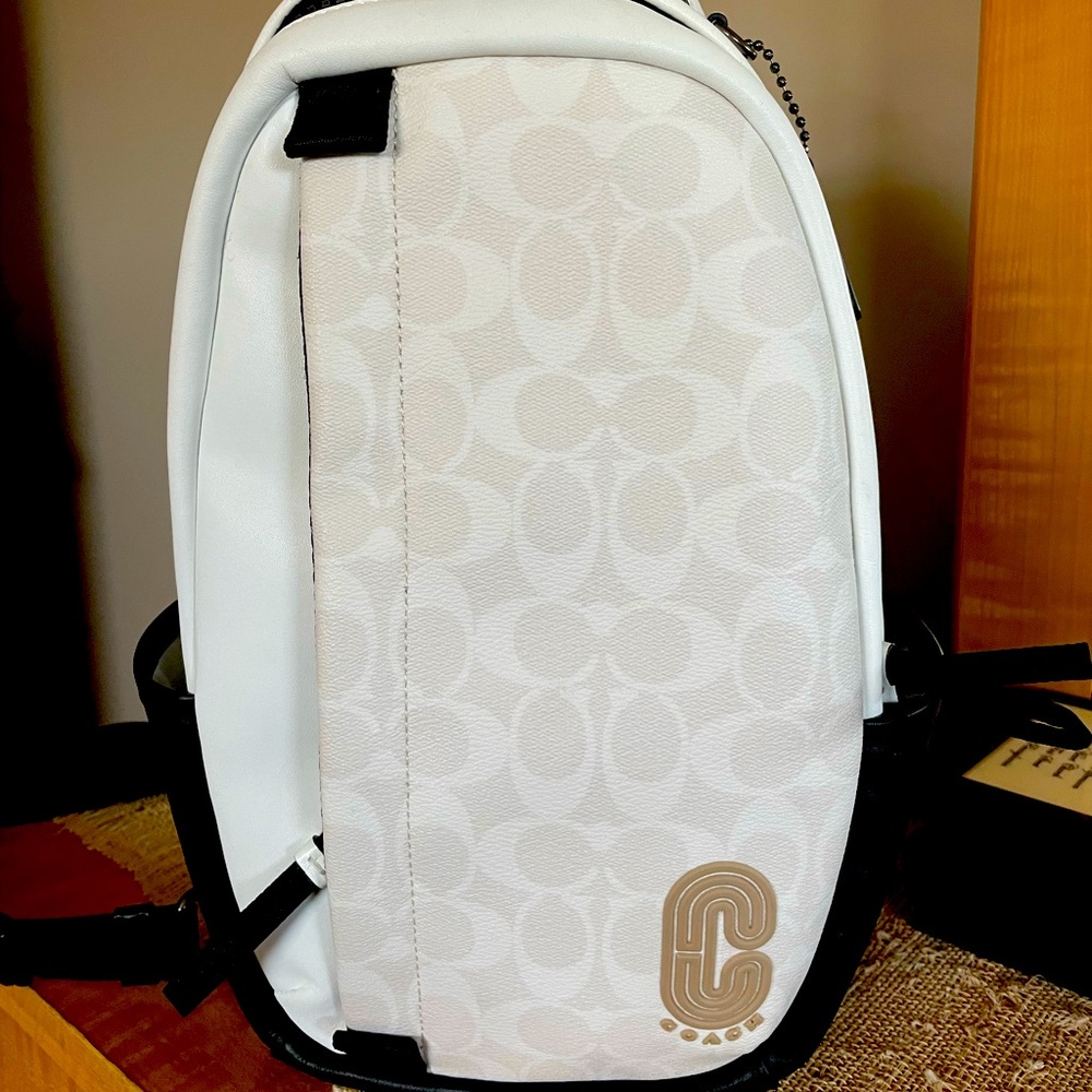 Leather Coach Backpack